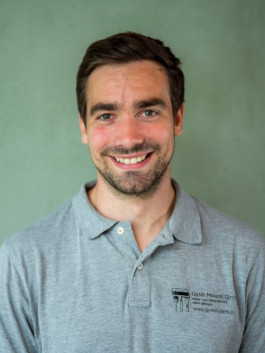 Gysin Malerei